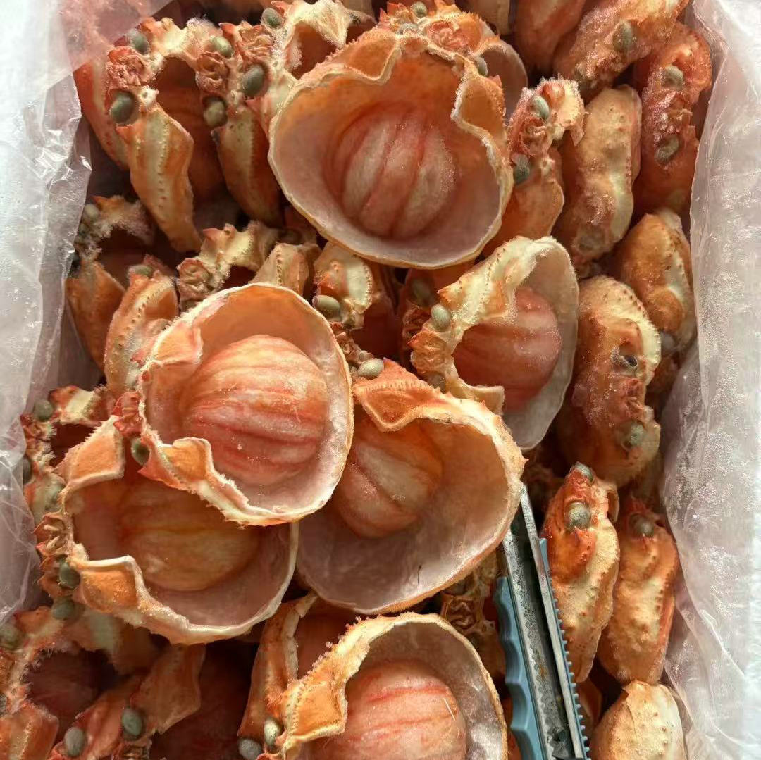 Jiangsu Frozen Korean Crab Treasure Shelled Crab Meat Commercial Large Shell Crab Treasure 70G/Piece Buffet Ingredients Wholesale