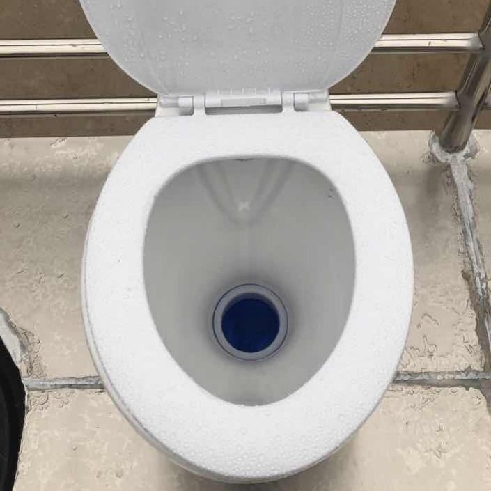 Rural dry toilet toilet renovation toilet 90? 110 sealing plug toilet squat urinal deodorizer?