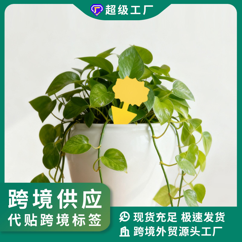 Foreign Trade Sticky Insect Board Sticky Insect Board Paper Insect Trap Butterfly Special-Shaped Double-Sided Yellow Insect Trap