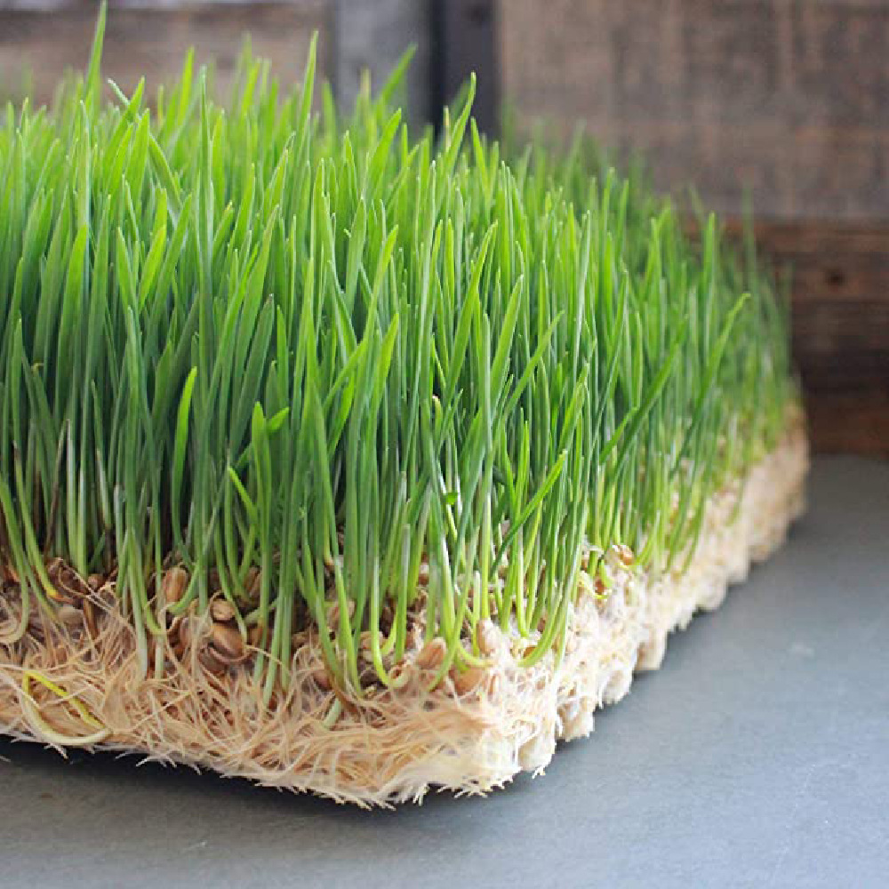 Plant Jute Fiber Felt Water Plant Cultivation Growth Mat Garden Decoration Insulated Flower Pot Basket Lining Pet Mattress Supplies