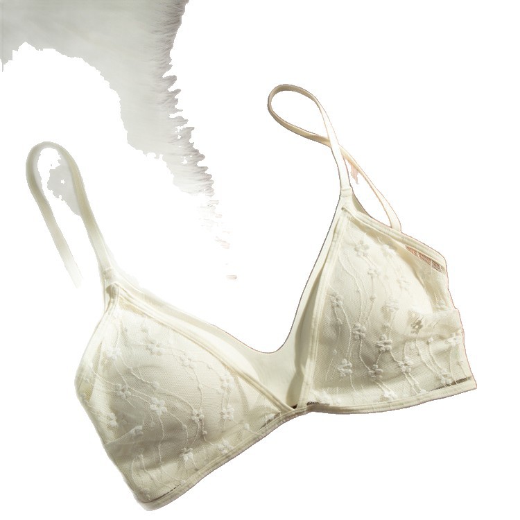 Lace Beautiful Back Bra for Women Summer Thin 2025 New Popular Small Breast Push-Up Bra Anti-Sagging Triangle Cup