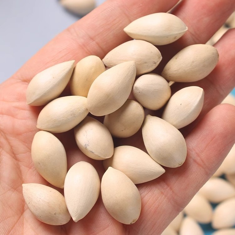 2025 Fresh White Ginkgo Nuts Raw Unbleached Shelled Ginkgo Nuts Pizhou Specialty