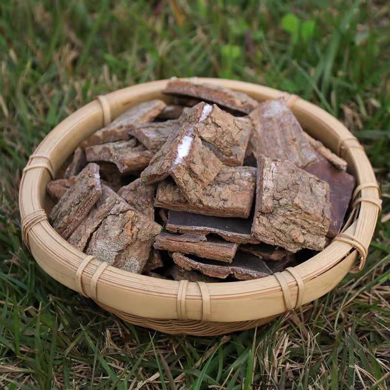 Authentic Eucommia Bark, Old Eucommia Chunks Wholesale, Authentic Old Tree Eucommia for Tea, Wine, and Soup