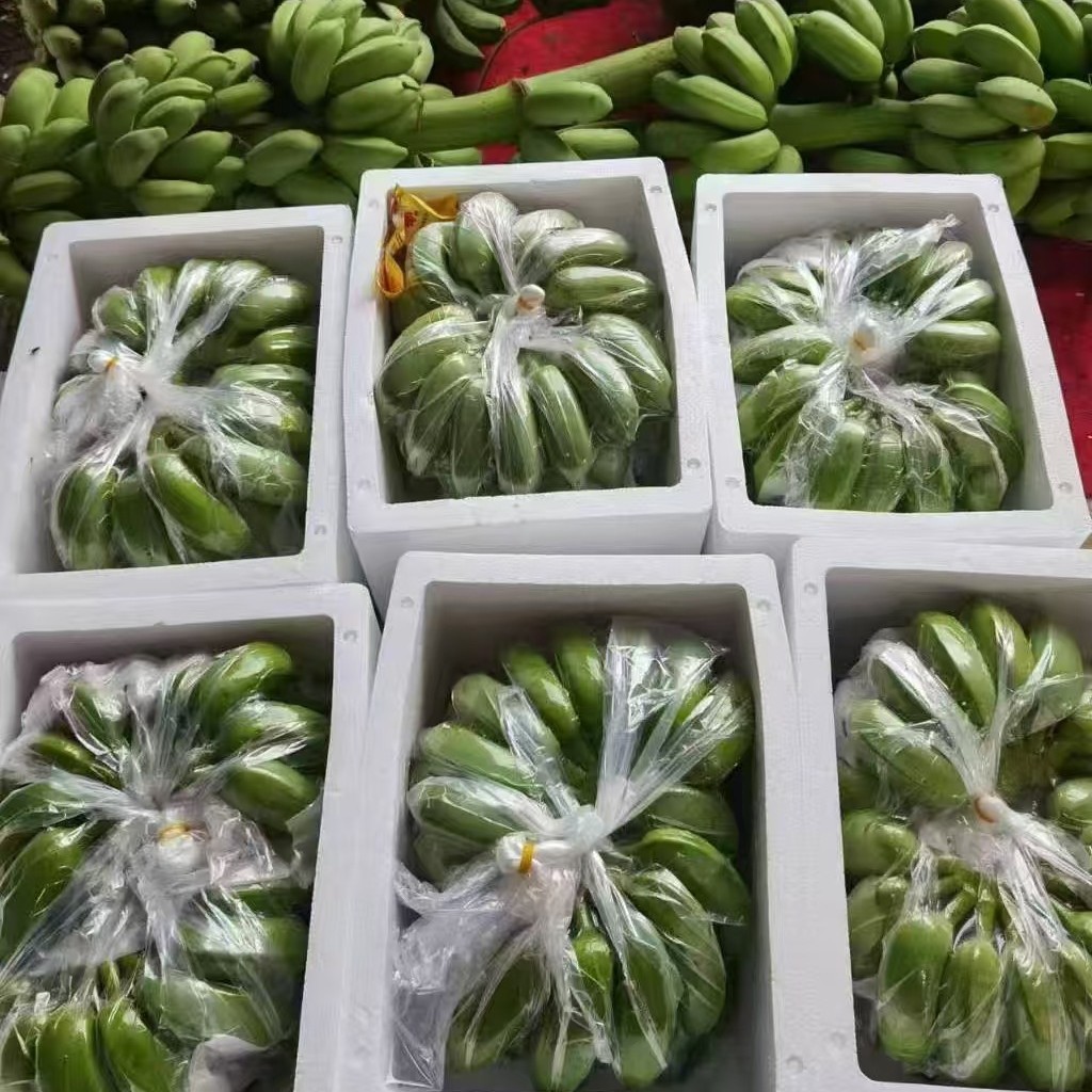 Guangxi Xiaomi Bananas Wholesale Whole Box Plantain Non-Dried Banana Hainan Banana Direct Supply from the Farm Free Shipping Naturally Ripe Fruit