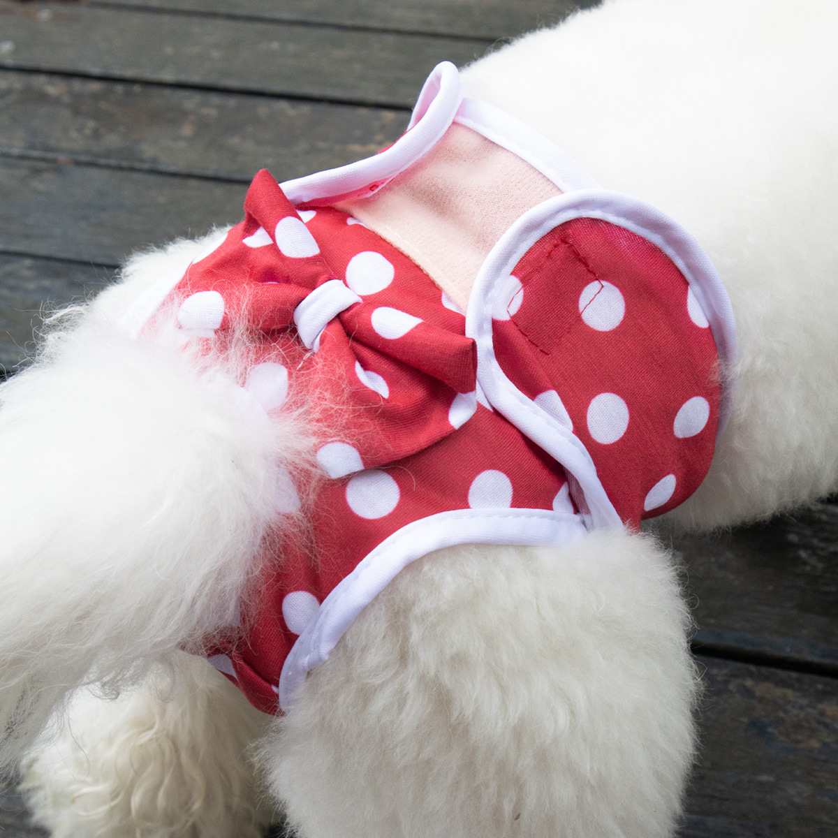 Кросс-бордерные штаны для собак, штаны Тедди для менструации, штаны для тетушек, против агрессии, подходят для маленьких собак