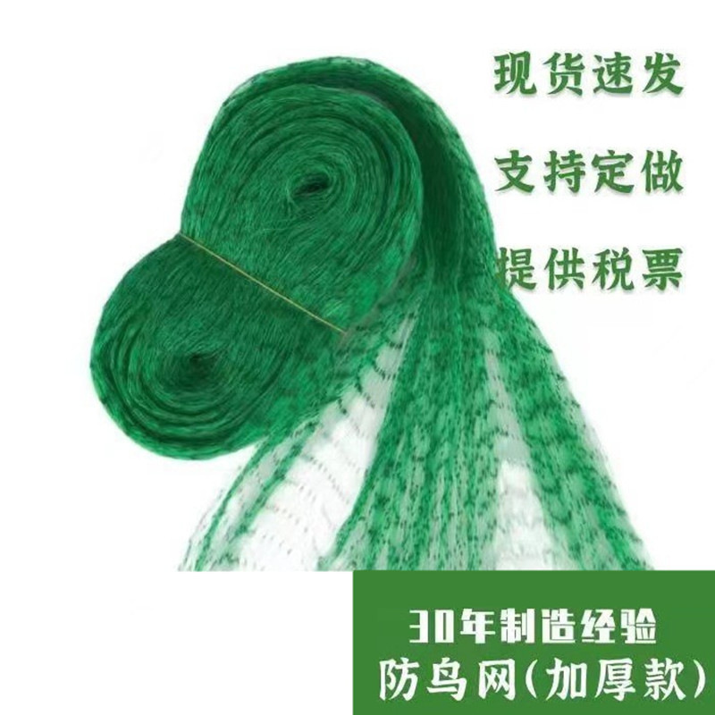 Bird-Proof Net Export Quality Cross-Border Supply Courtyard Grape Cherry Fruit Tree Green Black Polyethylene Factory Direct Sale