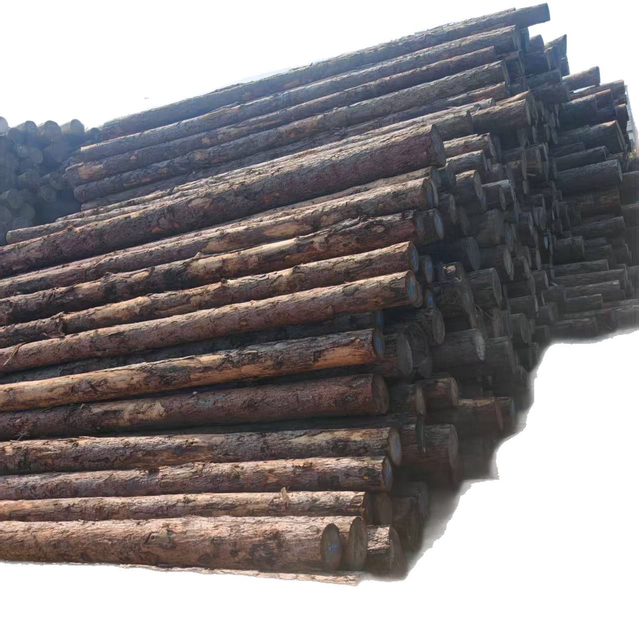 Larch Pile Wood Pine Pile Revetment Embankment Slope Protection Diameter 10cm Aosong Fir Log Can Be Sharpened Fir Wood