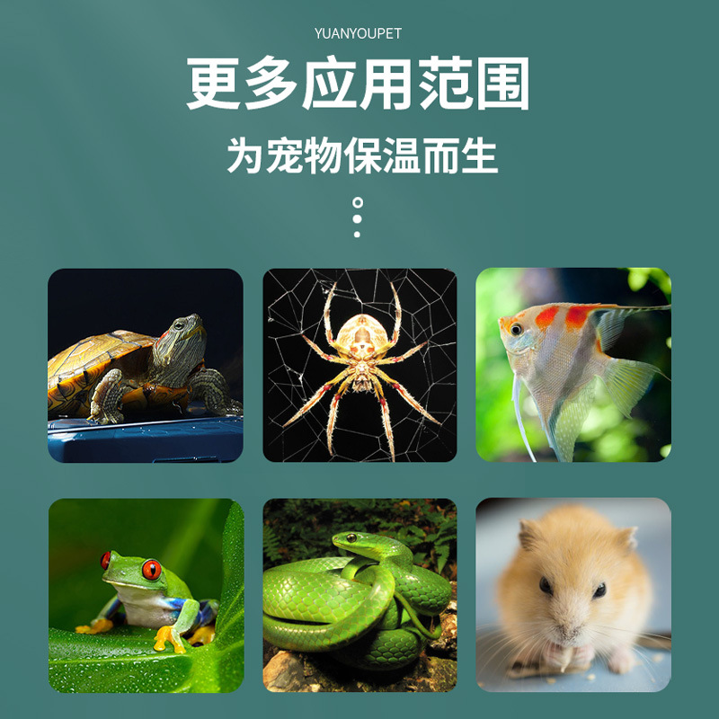 Climbing pet heating pad turtle lizard fish tank horned frog pet insulation feeding box heating temperature control palace reptile fighting fish