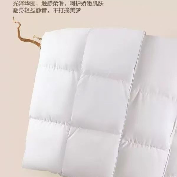 Sam's Club Same Style White Feather Velvet Spring, Autumn, Winter Quilt Gift Feather Velvet Quilt Winter Quilt