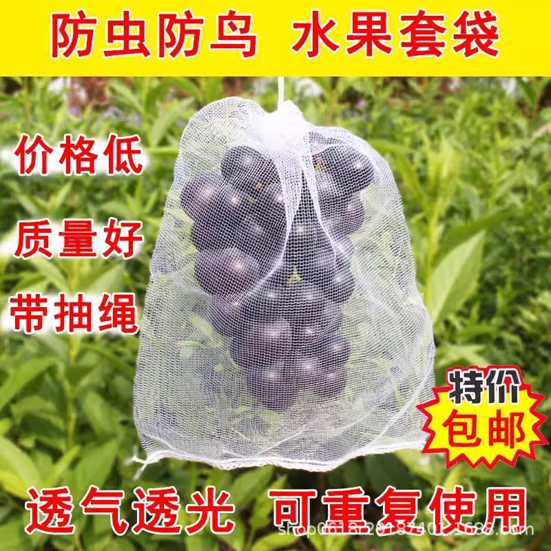Fruit bagging anti-bird net gauze bag anti-insect special bag loquat grape peach strawberry protection bag durable planting