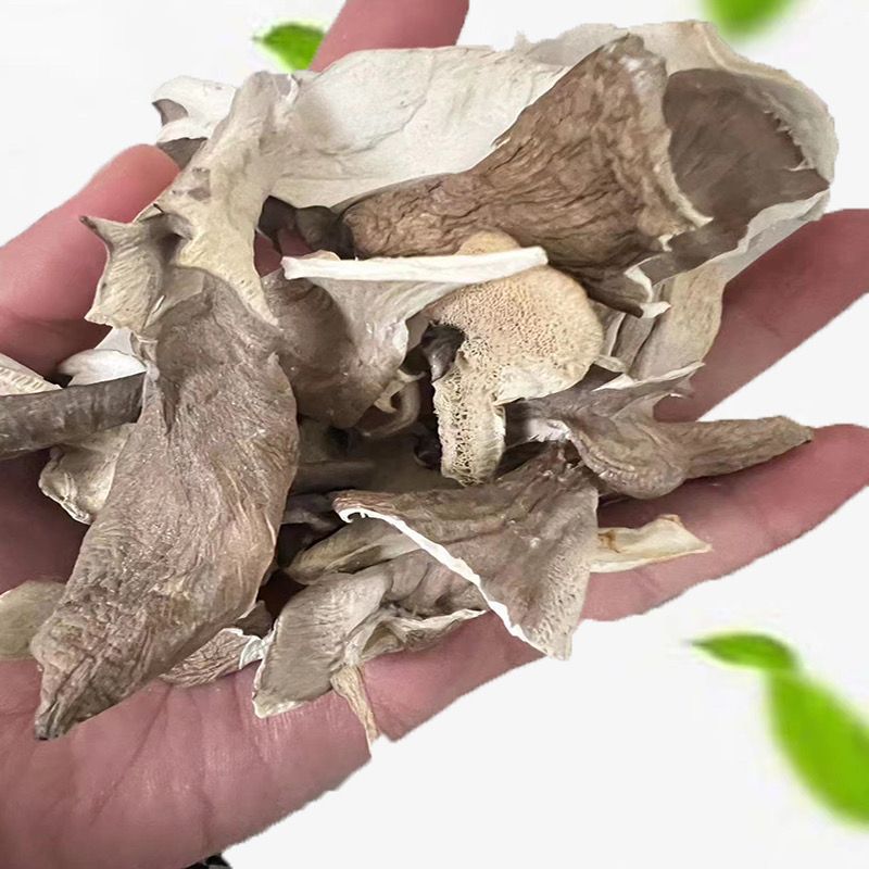 Grifola Frondosa Dried Chestnut Mushroom Slices, Maitake Mushroom Slices, Shiitake Mushroom Fragments, Edible Fungi 500g, Fresh Whole Pig Tail