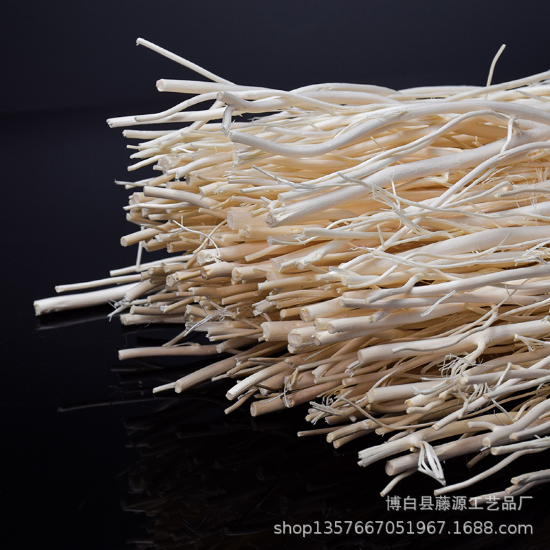 Supply of High-Quality Indonesian Rattan/Long Willow Volatile Sticks, Natural Willow Branches, Aromatherapy Volatile Branches, Dragon Willow