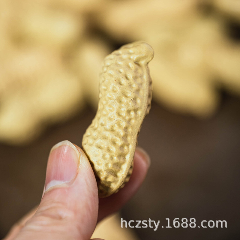 Yixing Purple Sand Tea Pet Artificial Flower Growth Fruit Ornaments Hand Sculpture Tea Set Accessories Long Ceramics Can Be Raised Wholesale