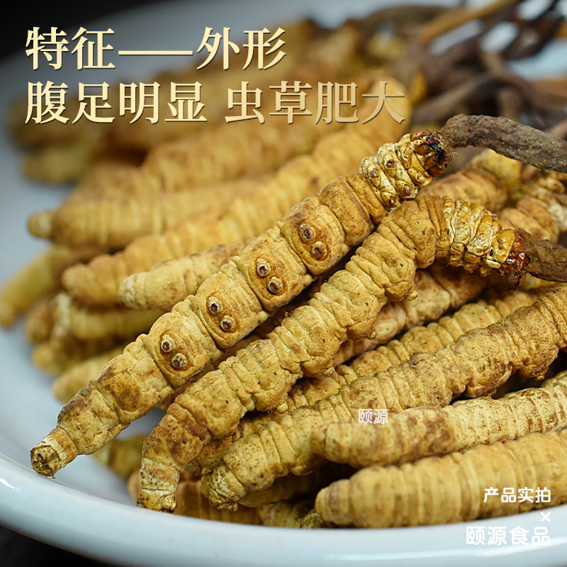 Freeze-Dried Cordyceps Sinensis in the First Time, High Altitude, Dry Cordyceps, Whole Unbreakable Grass, Full Specifications Factory Wholesale