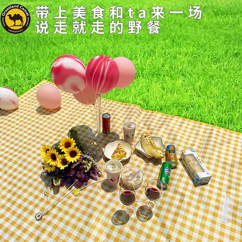 Spring outing picnic mat outdoor moisture-proof mat thickened foldable picnic tent mat camping grass beach mat wholesale