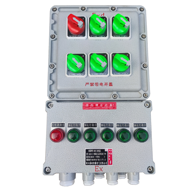 Lighting Dust Control Wiring Stainless Steel Explosion-Proof Distribution Box Explosion-Proof Box Power Supply Power Terminal Positive Pressure Control Cabinet