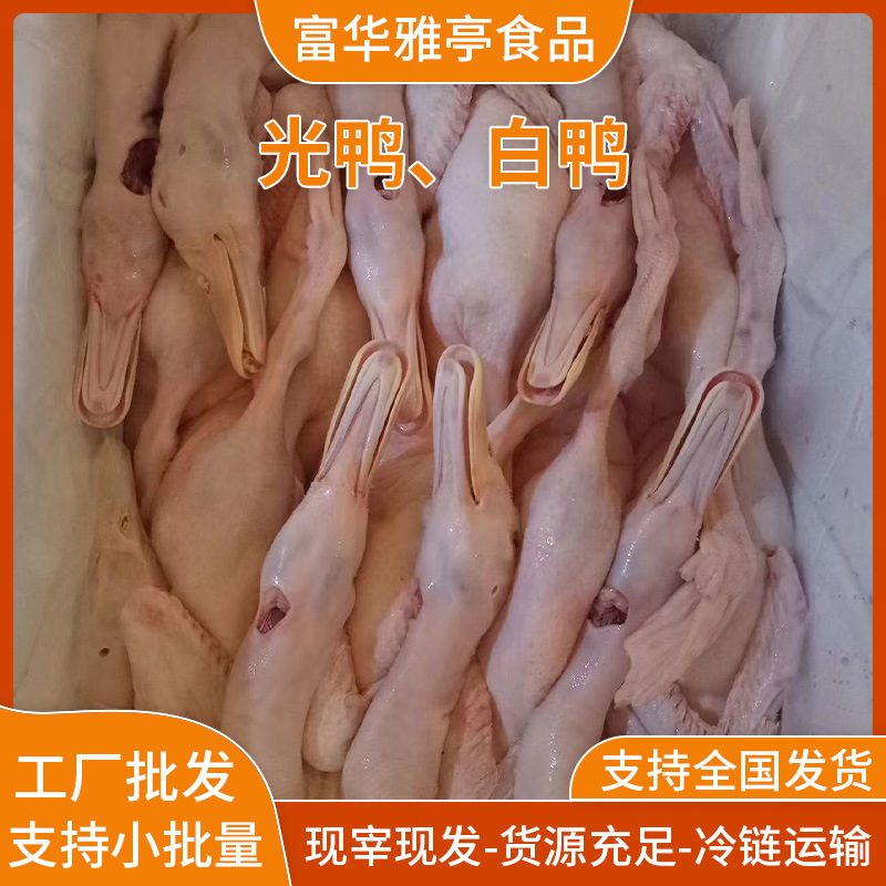 Freshly Killed White-Striped Duck, Braised Meat, Roasted Duck, Roasted Duck, Roasted Bacon, Restaurant and Restaurant Ingredients Supply Free-Range White Duck, Light Duck