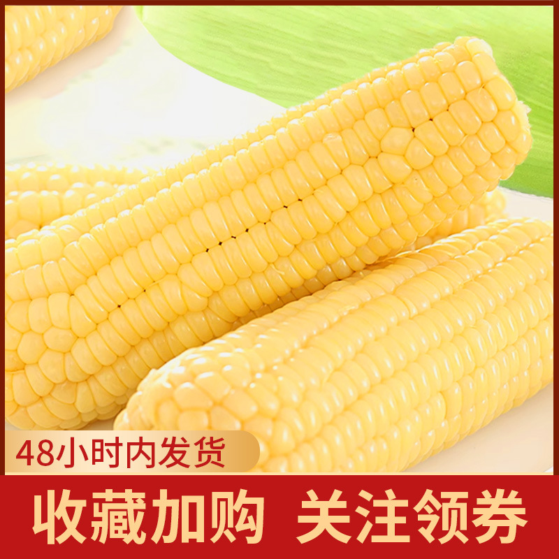 Explosive juice fruit corn 220g instant corn cob coarse grain dormitory breakfast midnight vacuum sweet corn snacks wholesale