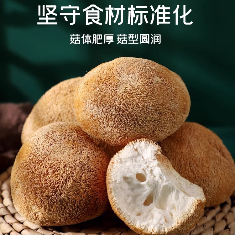 Official Flagship Store of Northeast Changbai Mountain Hericium Dry Goods 500g Can Be Powdered to Nourish the Stomach, Special Wild Fresh Tea Tablets
