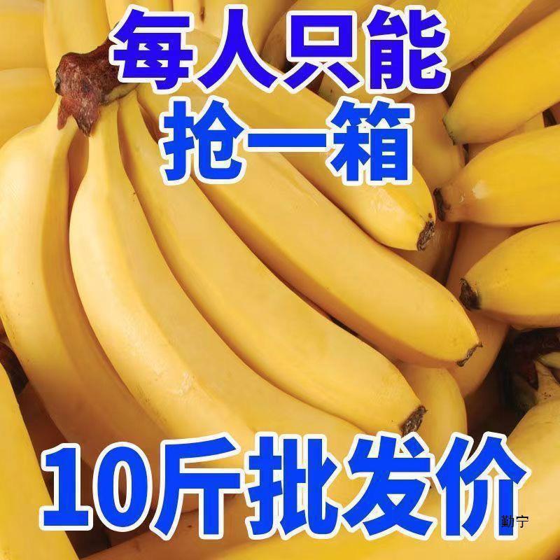 W 5kg Alpine Large Bananas, Seasonal Fresh Fruit, Plantains, Sweet and Delicious, Free Shipping for 5 Whole Boxes, 1.0kg Batches