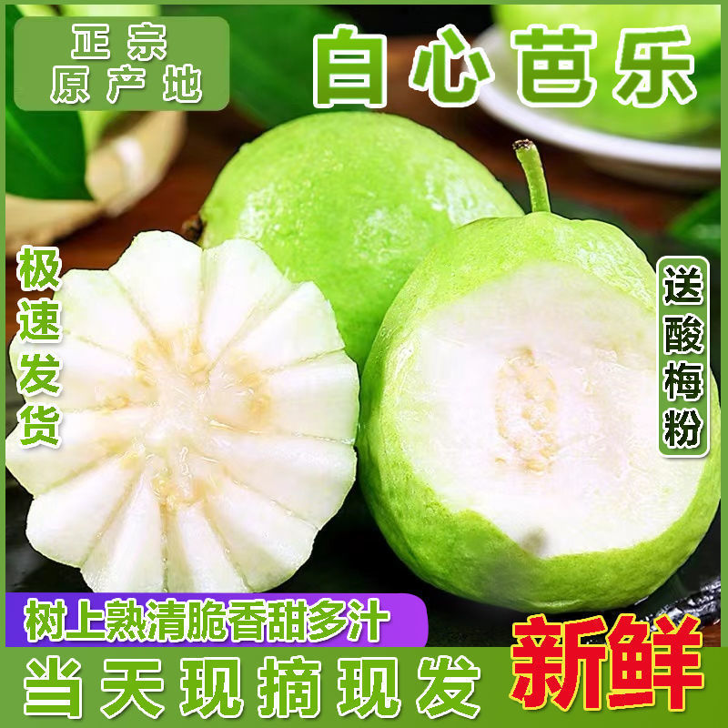 Guava Taiwan Pearl Guava with Sour Plum Powder, Low-Sweetness Crisp Hard Guava for Pregnant Women, Family Pack, Freshly Picked