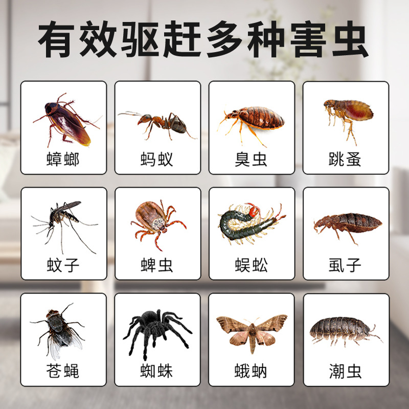 Insect Repellent Medicine Indoor Household Mosquito Repellent Artifact Aromatherapy Mosquito Killer Spider Cockroach Flying Insect Repellent Insect Repellent Insecticide