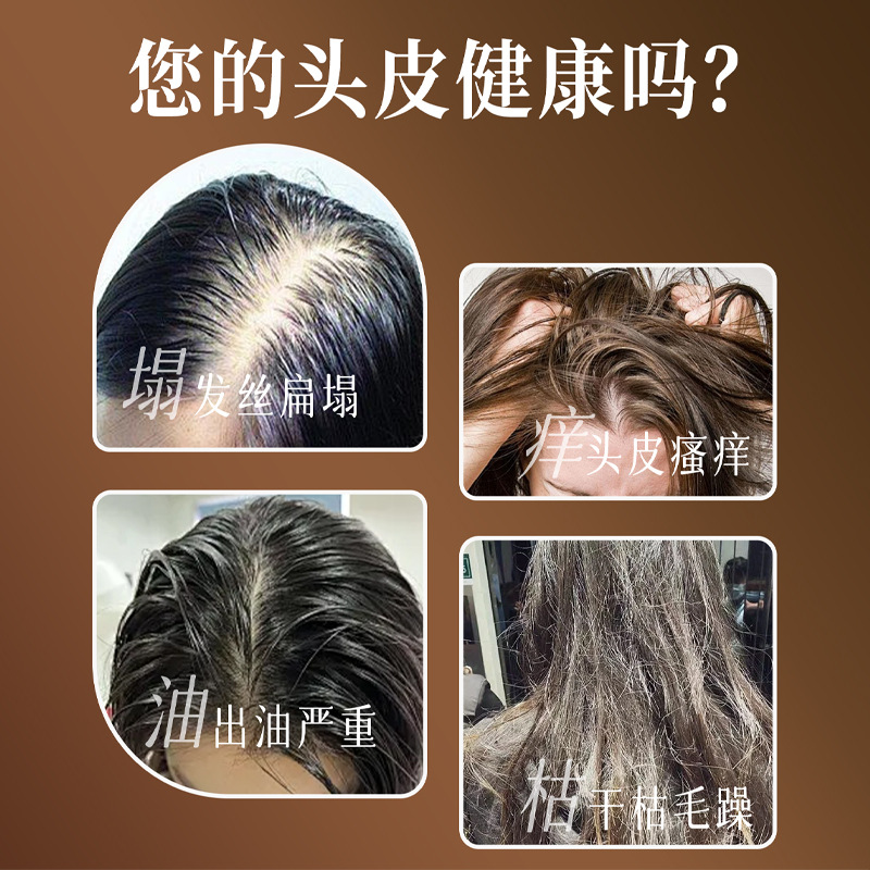 Beijing Tongrentang Inner Court Uses Polygonum Multiflorum Plant Extract Black Ganoderma Essence Shampoo Genuine Ginger Shampoo