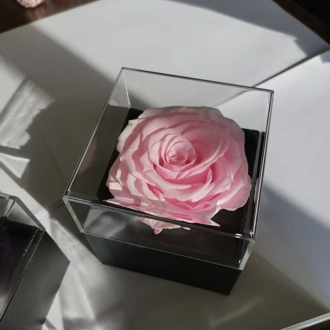 Everlasting Flower Rose Acrylic Jewelry Box Single Flower Valentine's Day Christmas Gift Jewelry Gift Box