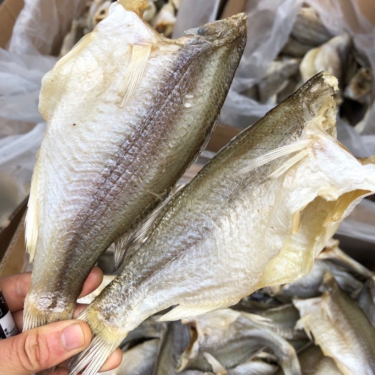 Dried Bass, Exhibition Stall E-Commerce, Freshwater Dried Bass, California Dried Bass, Lu Zai, Lu Meat, Large Bass