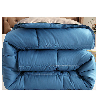 Feather Velvet Deep Sleep Quilt Winter Quilt Student Dormitory Medium Thick Four-Season Universal Spring & Fall Quilt Core for Students Living on Campus