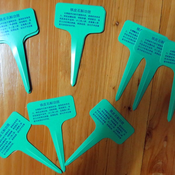 Gardening Labels Plastic Ground Plant Labels Ground Sign Three-Dimensional Labels Flower T-Shaped Label Wholesale