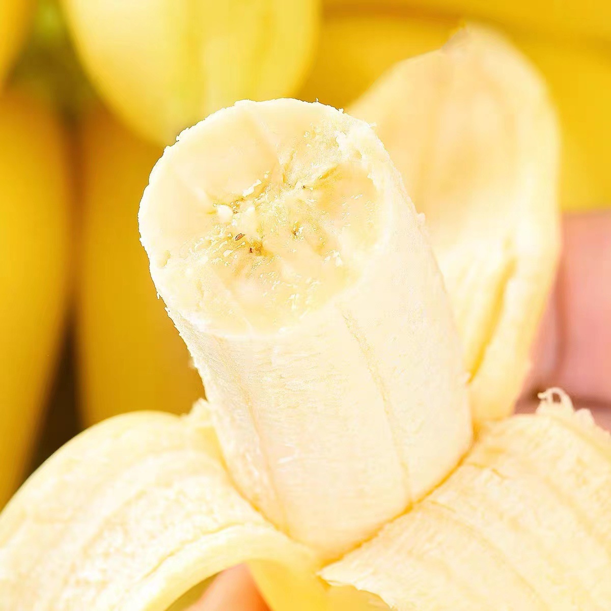 Guangxi Xiaomi Banana Small Plantain 1.5kg / 2.5kg / 4.5kg Orchard Straight Hair Soft Glutinous Sweet Banana Dropshipping