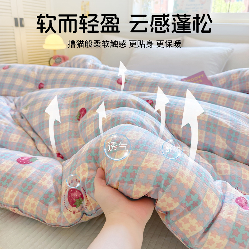Thickened Winter Quilt, Warm Cotton Quilt Core, Spring and Autumn Bedding, Suitable for All Seasons, Student Dormitory Single Bed, Winter