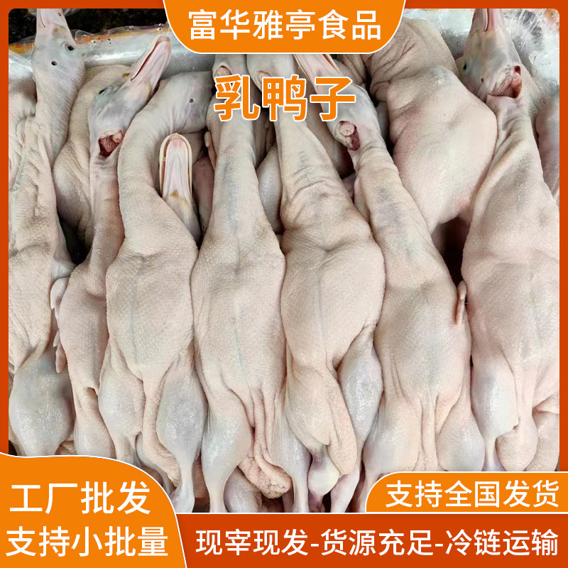 Freshly Slaughtered Duck, Braised Duck, Roasted Duck, Restaurant, Roasted Duck Farm, Free-Range Duck, Catering Supply Wholesale