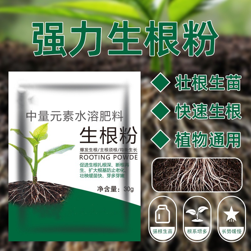 25г укореняющего порошка универсальный агент для укрепления рассады суккуленты потос цветочные черенки быстрый и мощный укореняющий порошок