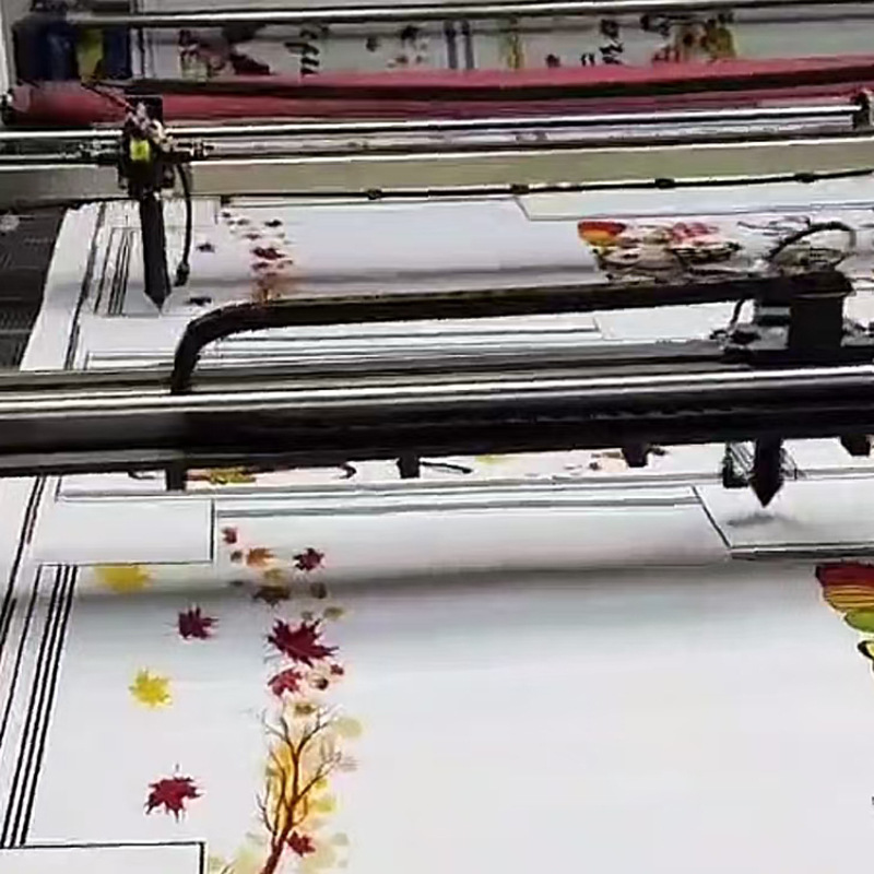 Develop laser slicing, develop clothing slicing, punch, carvings, camera positioning, slicing