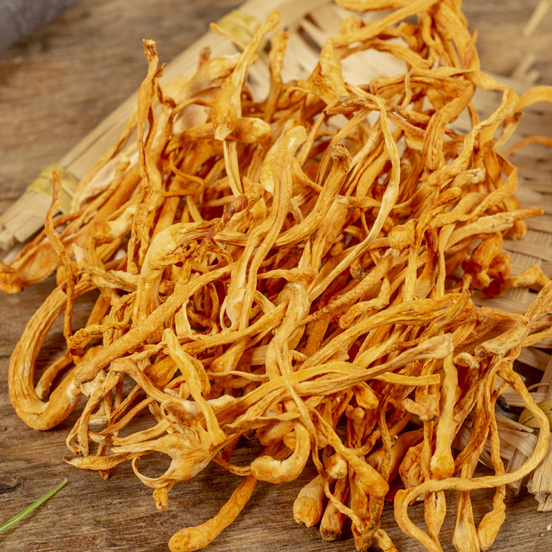 Cordyceps flower dried goods wholesale genuine goods Cordyceps militaris bags Changbai Mountain Cordyceps sinensis soup materials from grass flower bacteria