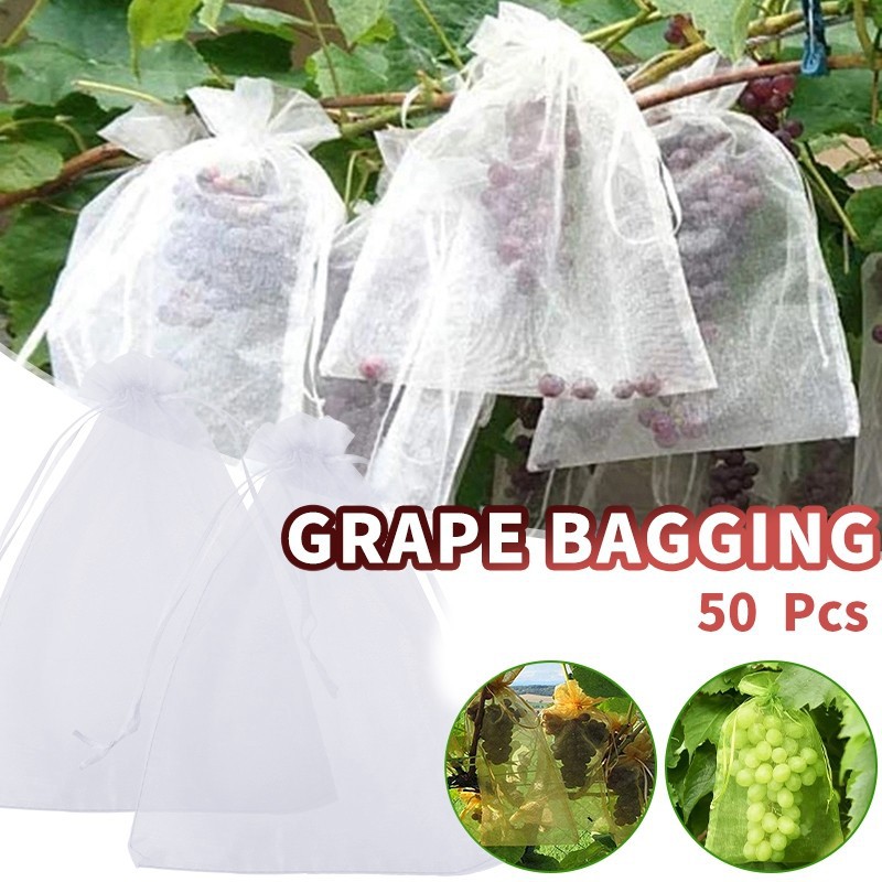 Cross-border Mesh Bag Fruit Insect-proof Bag Bird-proof Bag Gauze Mesh Bag Reusable Tomato Eggplant Grape Apple