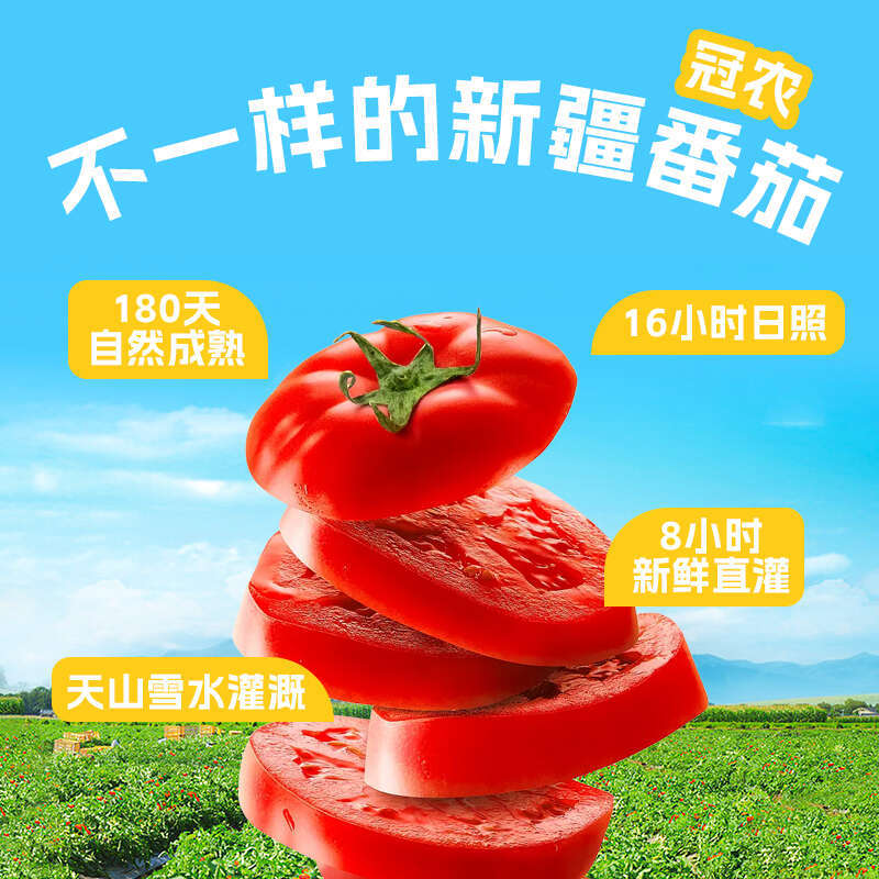 2025 Xinjiang Guannong Diced Tomatoes 210g*12 Fresh Peeled Tomato Chunks Canned Tomato Sauce Without Added Sugar