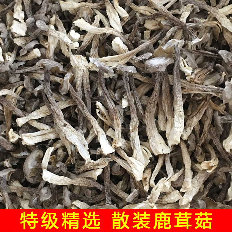 Antler mushroom antler mushroom dry goods 500g local specialty agricultural and sideline products edible fungus hotel ingredients wholesale origin direct supply