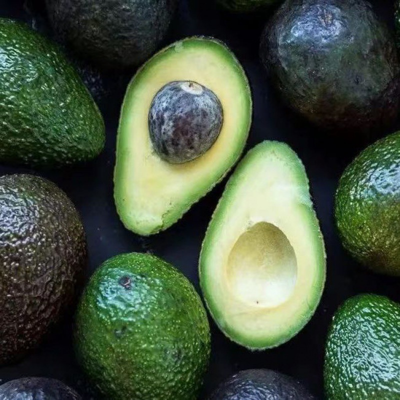 Avocado Fruit Fresh Large Fruit Mexican Avocado Seasonal Fruit for Pregnant Women and Babies