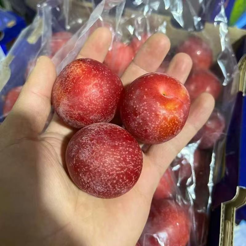 Свежие чилийские вишневые сливы сезона для беременных, чистые сладкие сливы, антоцианы, Sf/Jingdong, полная коробка