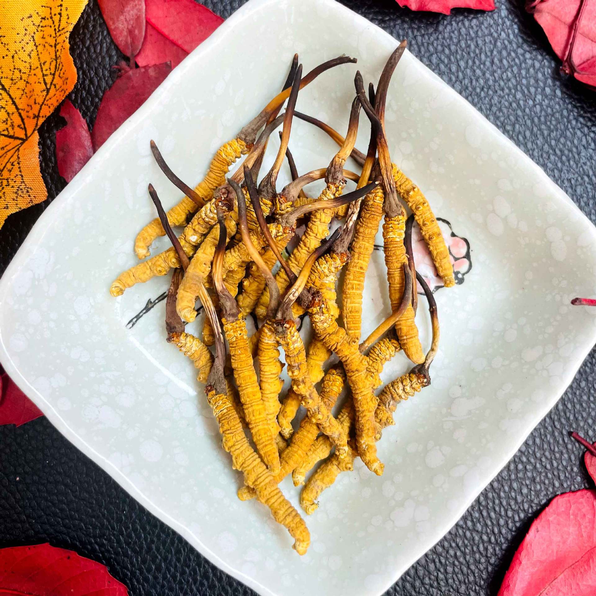 Wholesale of Xizang Cordyceps from Its Natural Habitat in Qinghai Yushu Grassland, High-Altitude Cordyceps for Dropshipping