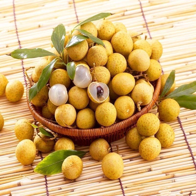 Fresh Imported Thai Longan, Seasonal Fruit, Non-Stone, Large Fruit for Pregnant Women, Free Shipping Per Box