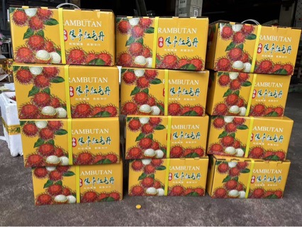 Fresh Rambutan Fruit 2.5kg Seasonal Whole Box of Rambutans Hainan Tropical Fruit for Pregnant Women