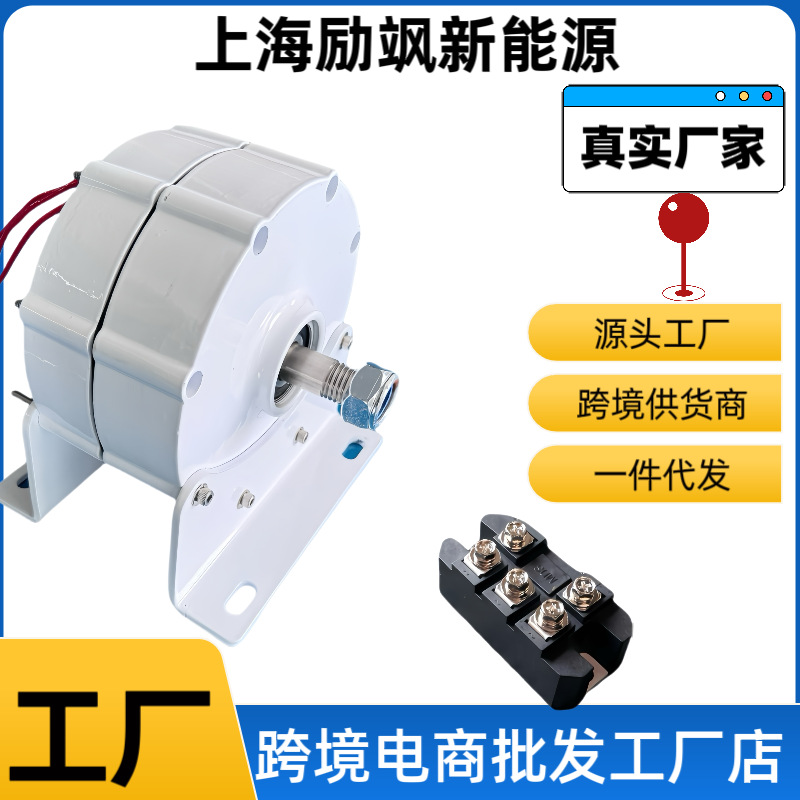 Прямые продажи с завода 600Вт редкоземельный трехфазный генератор постоянного тока бесщеточный генератор