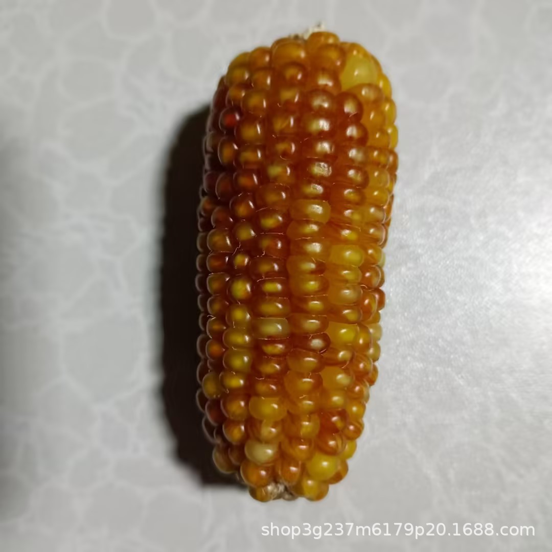 Wholesale Hamster Food Staple Food Mini Corn Rabbit Chinchilla Hamster Molar Snacks Pet Molar Corn Cob