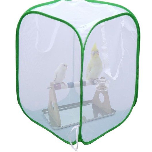 Australian Cypress Bonsai Tree Old Stump South Sea Cypress Potted Plant for Living Room and Office Desktop, Real Green Plant, Hot-Selling Cross-Border Product