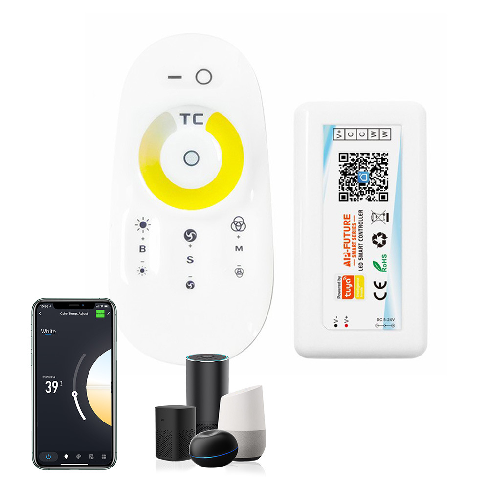 Tuya Smart App Led Controller Huiying Factory Direct Sales Tuya Dual Color Temperature Cct Light Strip Controller