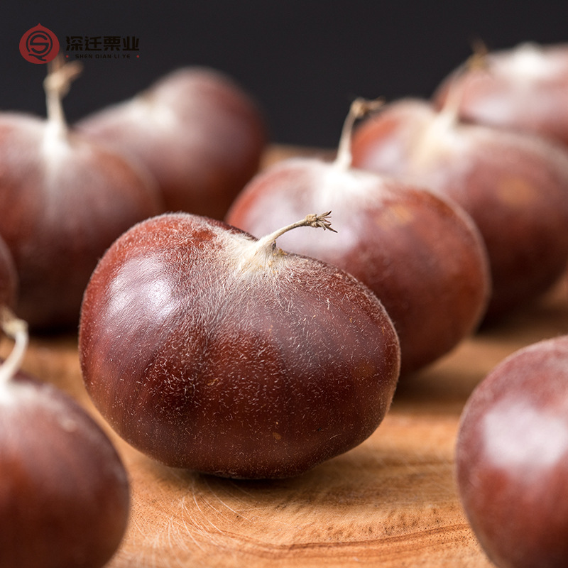 2025 Authentic Qianxi Chestnuts 50kg Wholesale Hebei 313 Chestnuts Fresh Raw Oil Chestnuts Candied Roasted 3113 Chestnuts